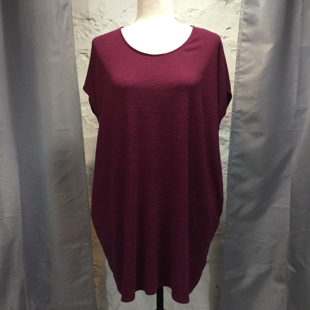 Aritzia Wilfred Free Oversized T-shirt Dress
